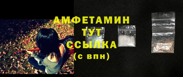 первитин Няндома