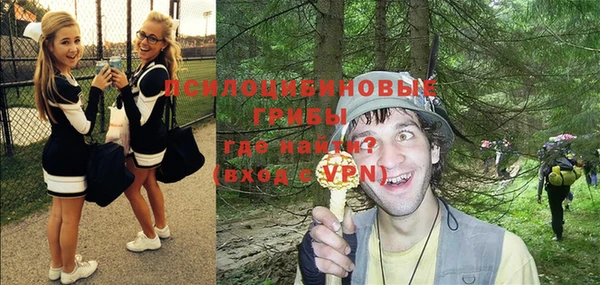 эйфоретик Новодвинск