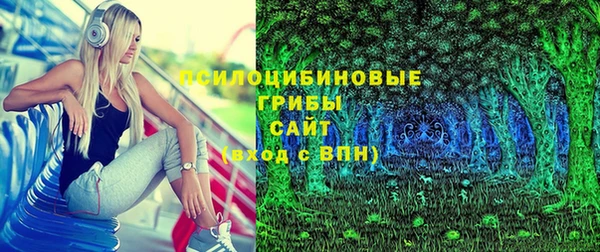 первитин Няндома