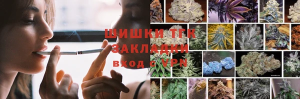 эйфоретик Новодвинск